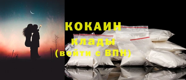 ПСИЛОЦИБИНОВЫЕ ГРИБЫ Магас