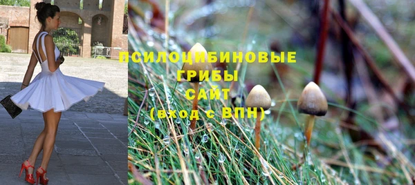 винт Абдулино