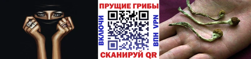 наркота Ува Псилоцибиновые грибы мухоморы